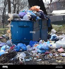 Trusted Southchase, FL Junk Removal Services Experts