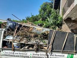 Moving and Downsizing Cleanouts in Southchase, FL