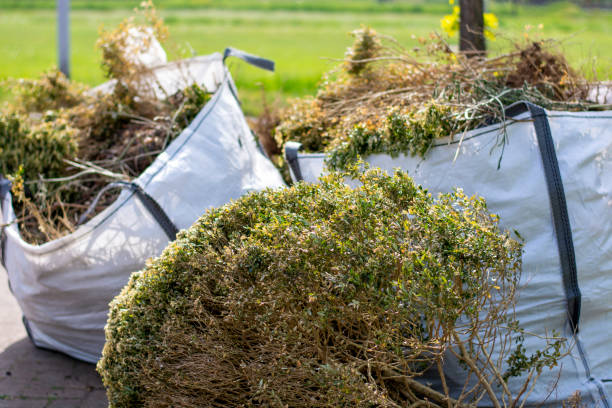 Best Same-Day Junk Removal Services  in Southchase, FL